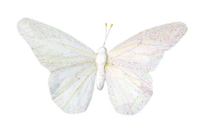 2779_1_blanc