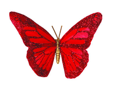 2779_7_rouge