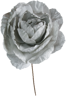 3000_4_argent