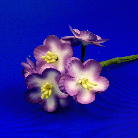 DSCN0163