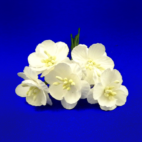 DSCN0164