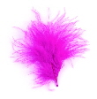 2571 fuchsia feather