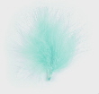 2571_6_ciel
