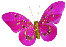 2893_15_fuchsia