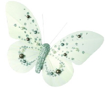 2893_1_blanc
