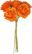 3001_12_orange