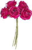 3001_15_fuchsia