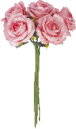 3001_5_rose