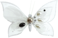 3016_1_blanc