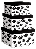 41109_PawPrints