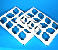 DSCN2844