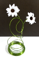 daisy sml white