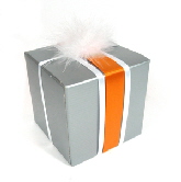gl silver orange ribbon