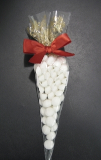 cone snow WEB