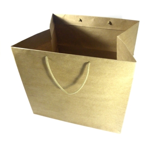 takeout bag sml