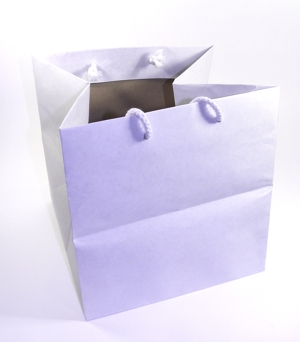 takeout white sml