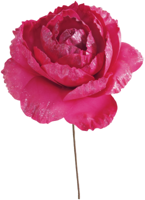3000_15_fuschia