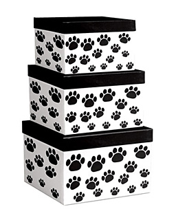 41109_PawPrints-Updated