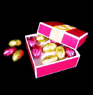 DSCN6302