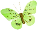 green butterfly clip