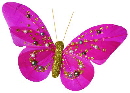 fuchsia butterfly clip