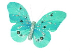 turquoise butterfly clip