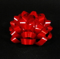 DSCN5024