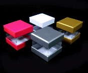 DSCN6061