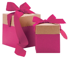 GIFTALI PINK