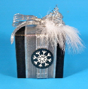 black silver 1 sml