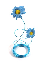 daisy blue sml