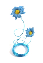 daisy blue sml