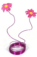 daisy wire fuchsia sml1