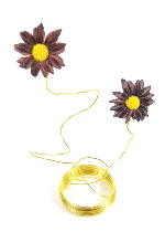 daisy wire gold