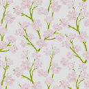 sd_cherry_blossoms