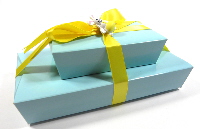 slb box bunny