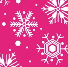 snow cerise1