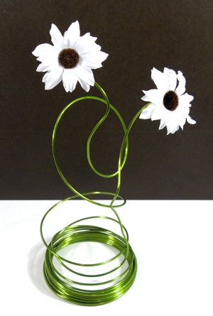 daisy sml white