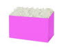 fuchsia2