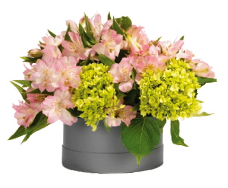mod4125grey flowers