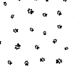 paw print